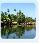 Backwaters of Kerala