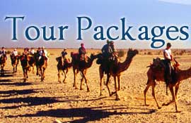 Tour Packages