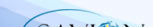 Savion Travel Services