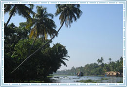 Kumarkom Backwaters