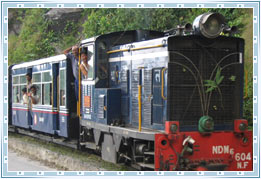 Toy Train, Darjeeling